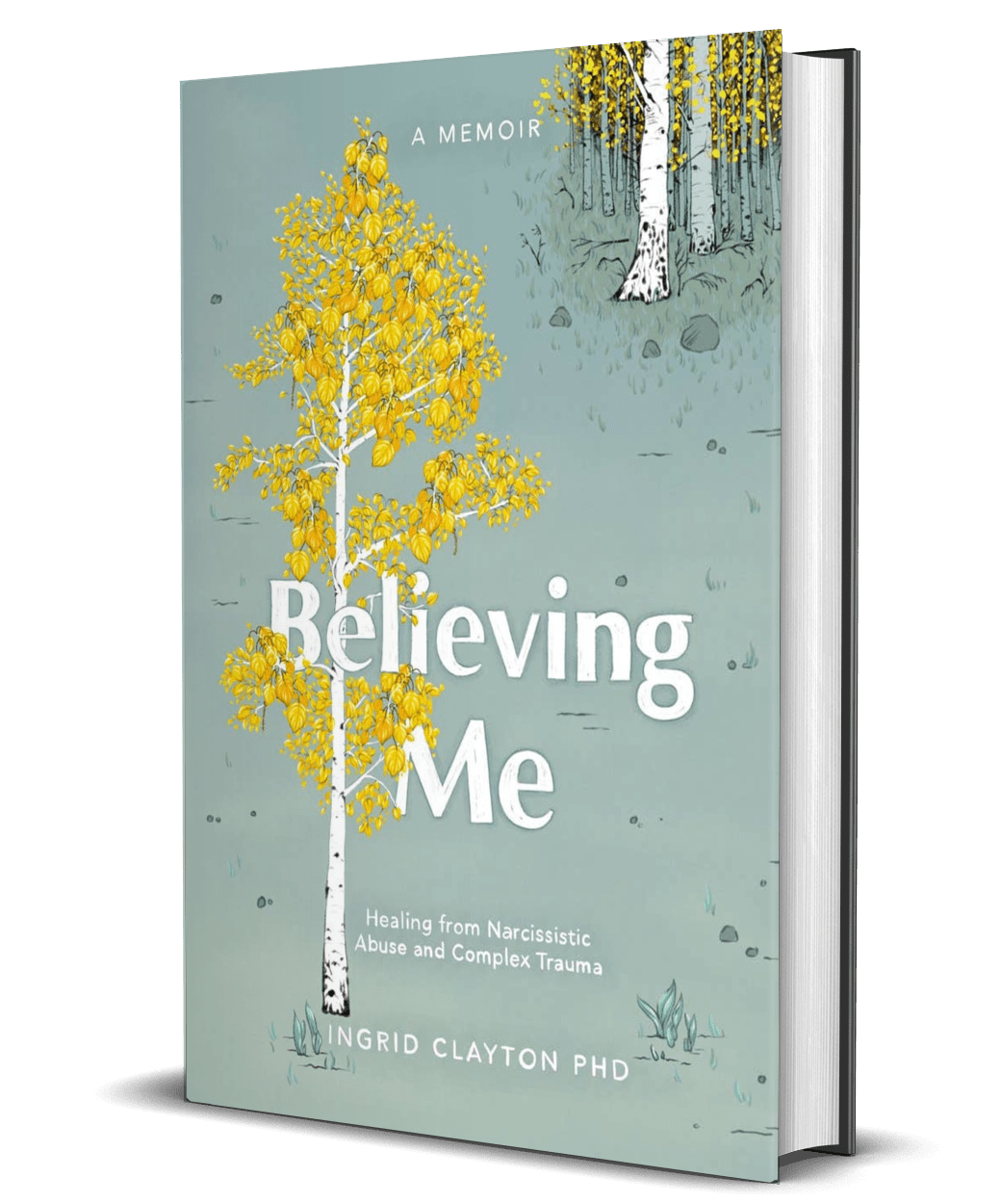 Book cover for "Believing Me", a book by Dr. 123闪电联盟快三体彩版本更新游戏 about emotional abuse.